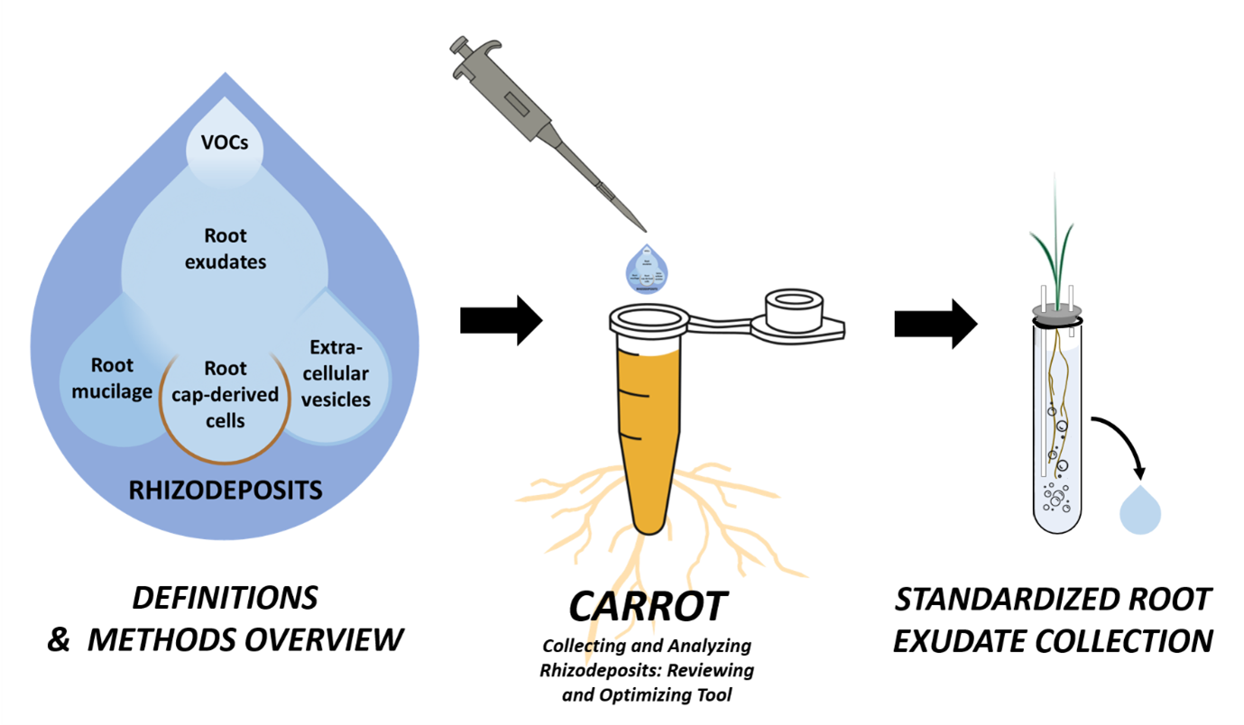 Graphical abstract.png Graphical abstract.png